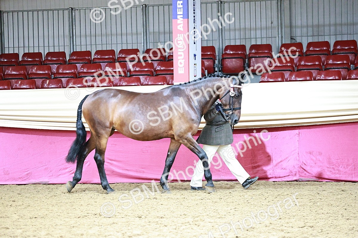 SBM_00832 - Class 2A - Area IH Veteran