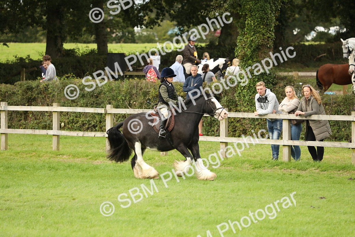 SBM_71695 - S41 - Ridden Equitation (Best Rider)