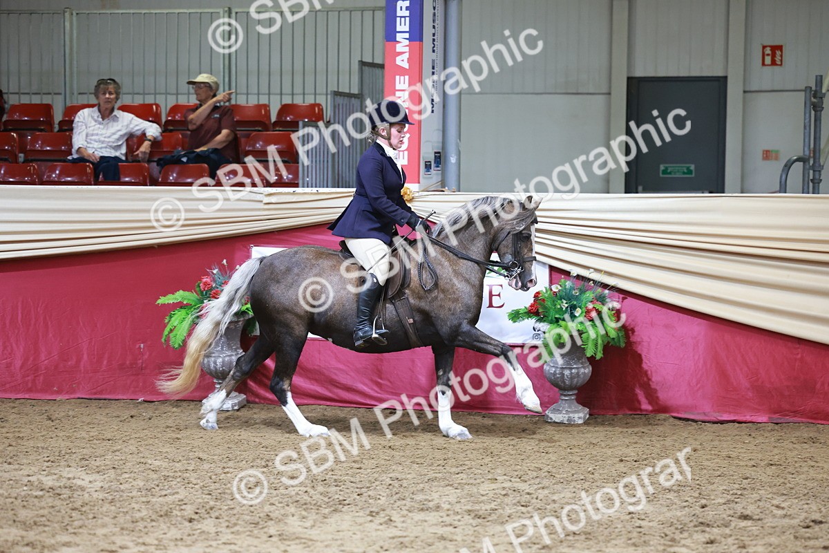 SBM_18552 - Class 952 - M&M Ridden Supreme Final