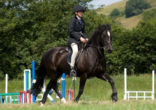 76 - Moniaive Horse Show 2008
