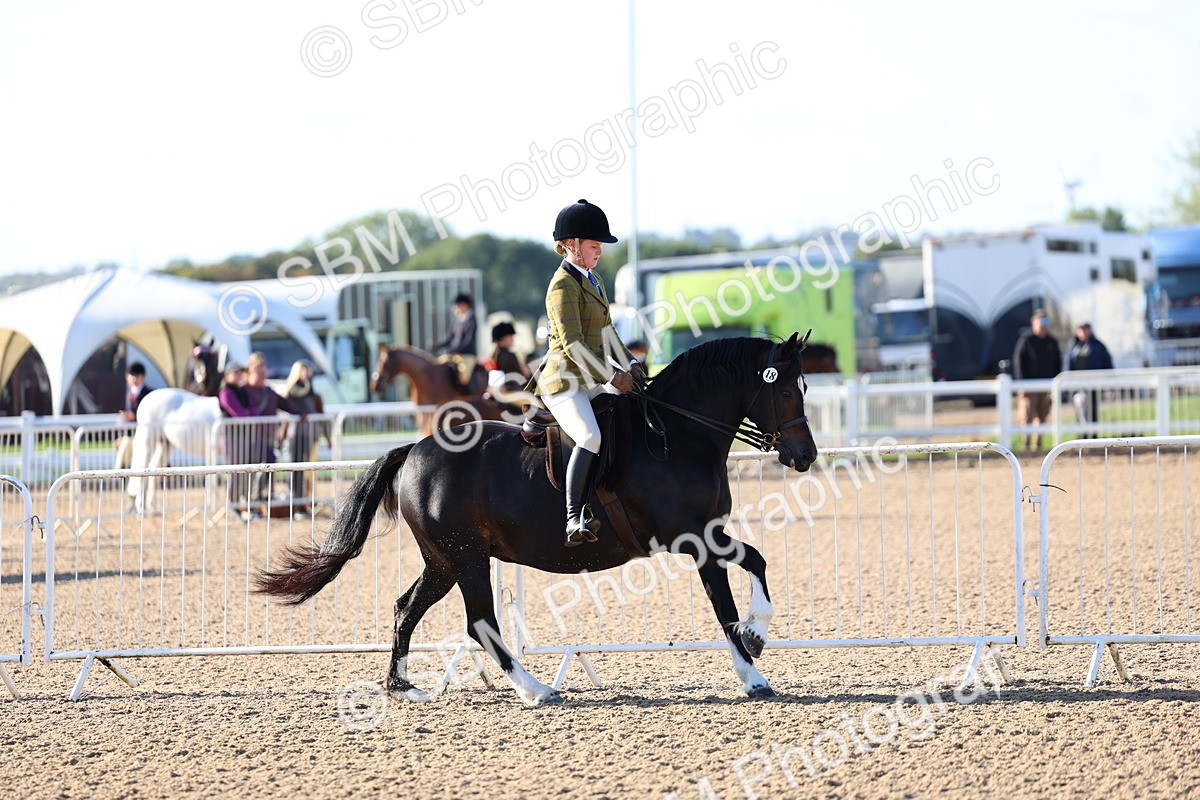 SBM_08775 - Class 302 - Ridden M&M - Large Breeds