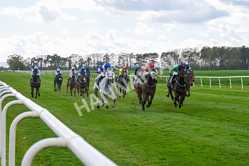 180426-Race 5-Kosometsuke-2493 - Race 5
