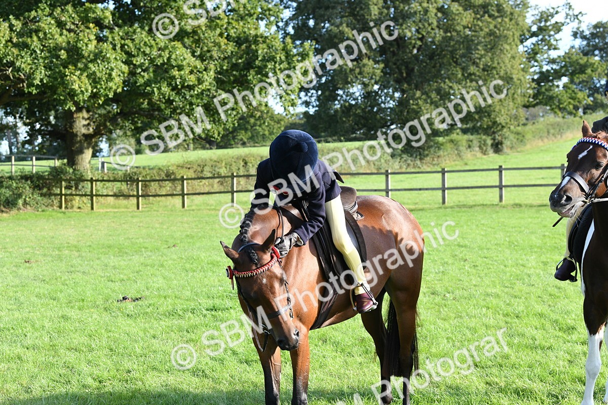 SBM_52429 - S22 - 1st Ridden Show & Show Hunter Pony