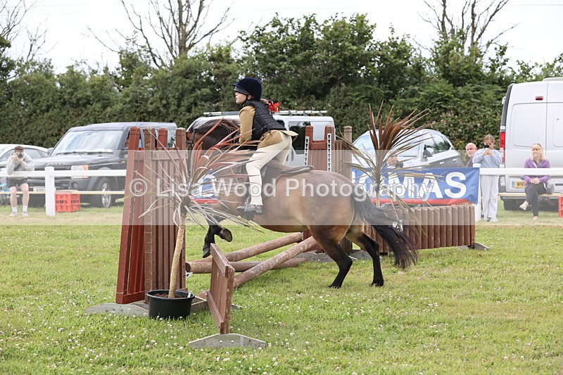 JPP_1776 - Class 18: Tiny Tots Working Hunter Pony