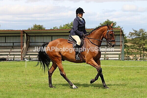 SIAL7327 - Ring 1 & 3