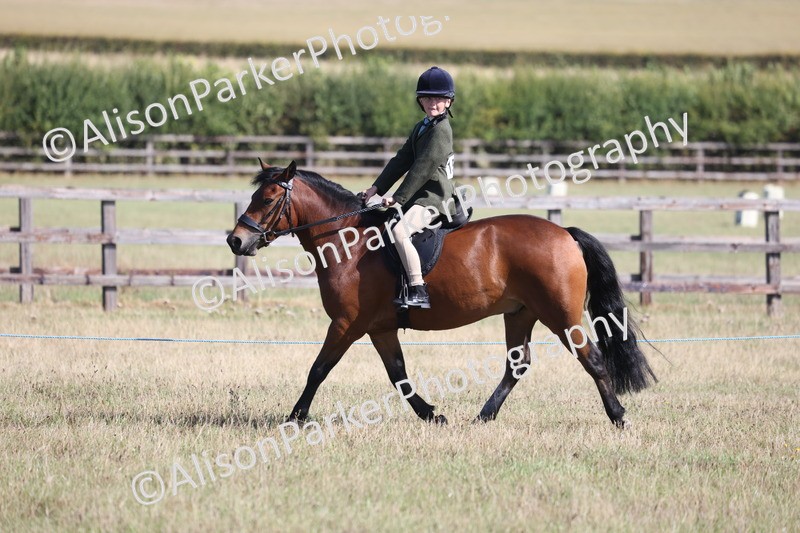 20260906-2231 - Class 16 - Family Pony