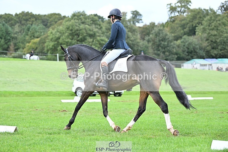 231020-153527-11512 - 687-VLOVE.D.OR.LY-Hani.Milstein-DR