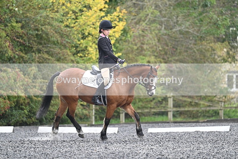 WJ7_3959 - Time 11:04 to 11:38