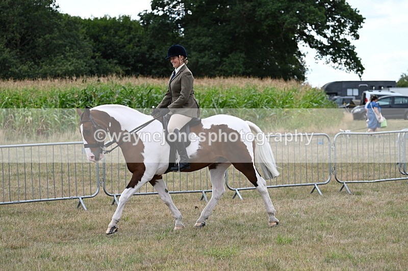 WJ7_5006 - Class 12 Ridden Cob
