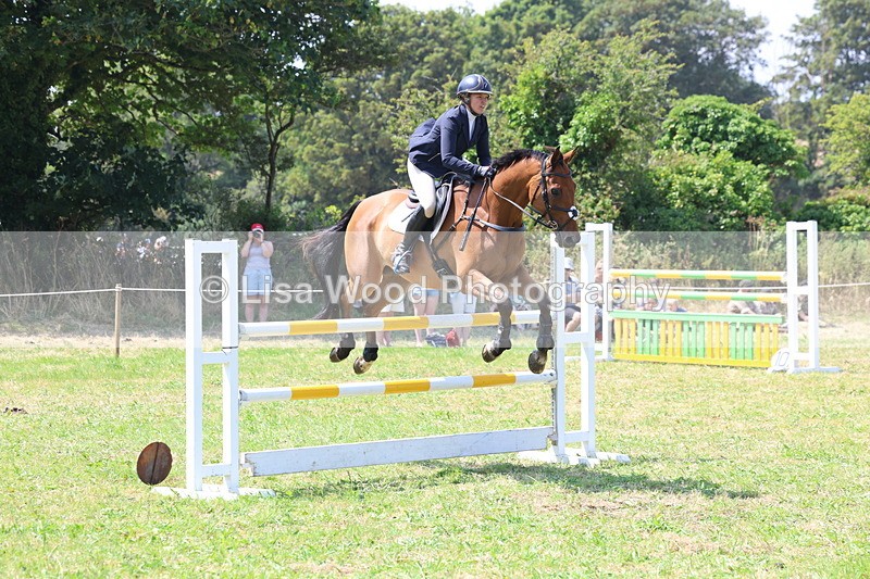3E7A3330 - Class 10: Senior Foxhunter/1.20 open