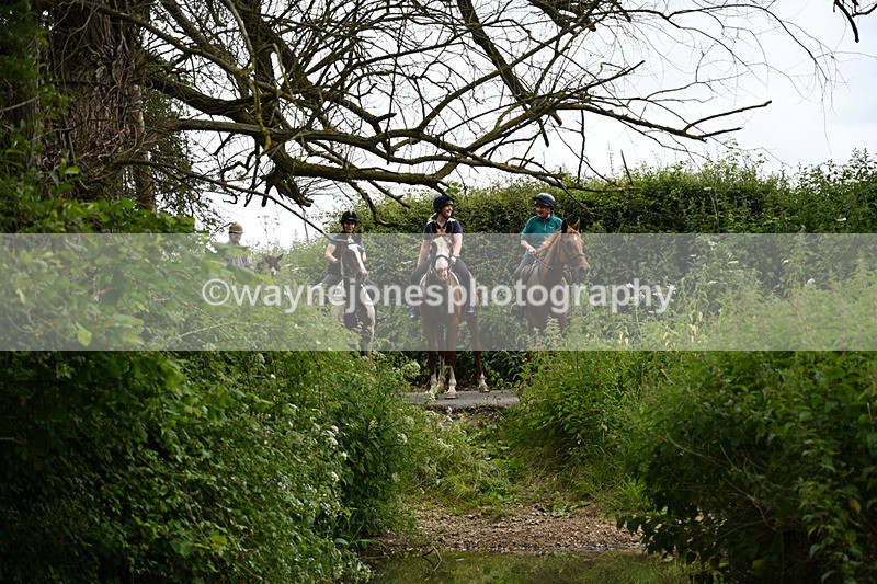 WJ7_1835 - Camera 2 Water Crossing