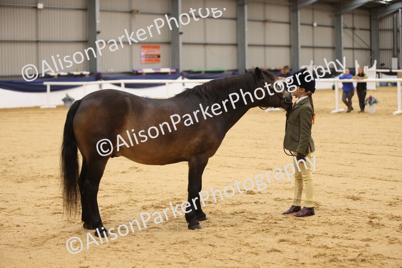20260913-0100 - Class 121 - Young Handler 5-16