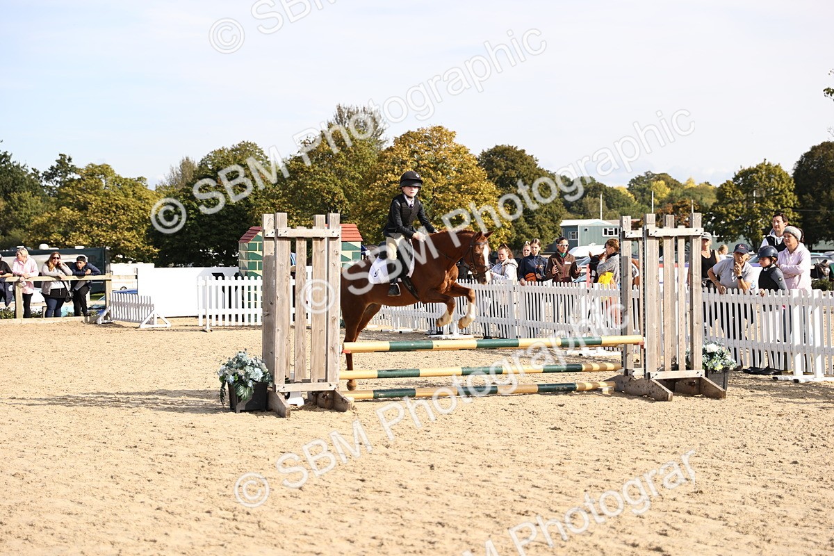SBM_61929 - J12 - Junior Pony 55cm Championship