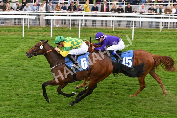 yr22052022r3-42 - Race 3: 4:35pm Sky Bet Sunday Series Dash