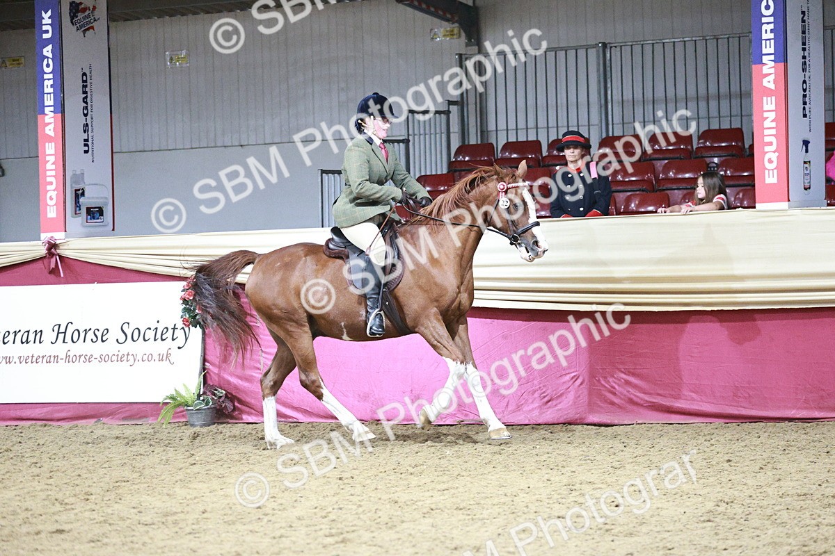 SBM_08024 - Class 11R - Regional Ridden Veteran