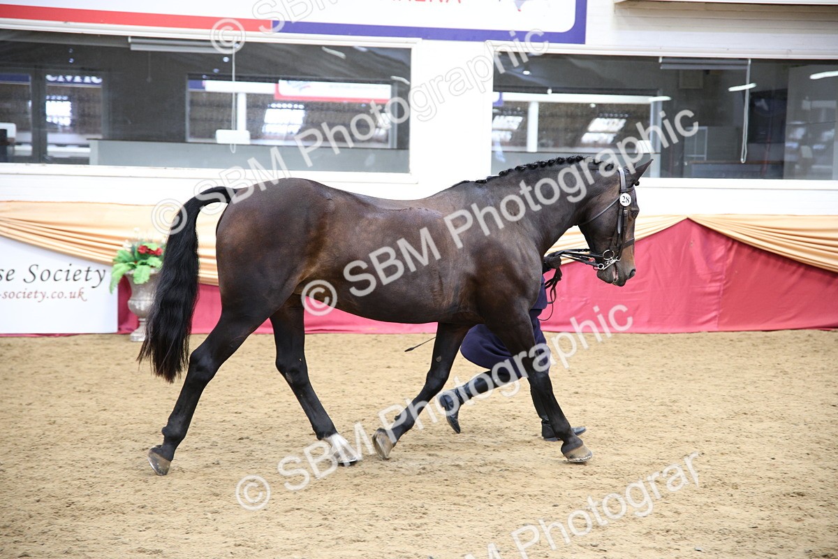 SBM_23383 - Class 904 - Supreme Final Ridden Diamond