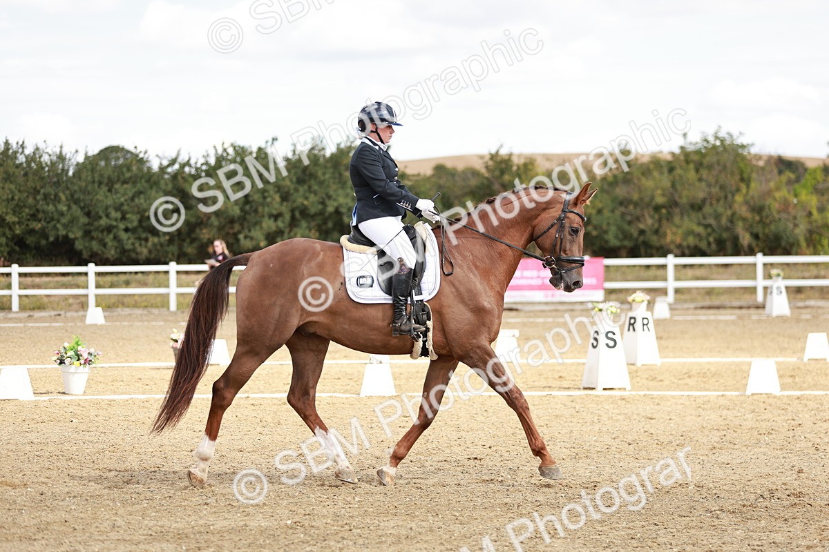 SBM_009431