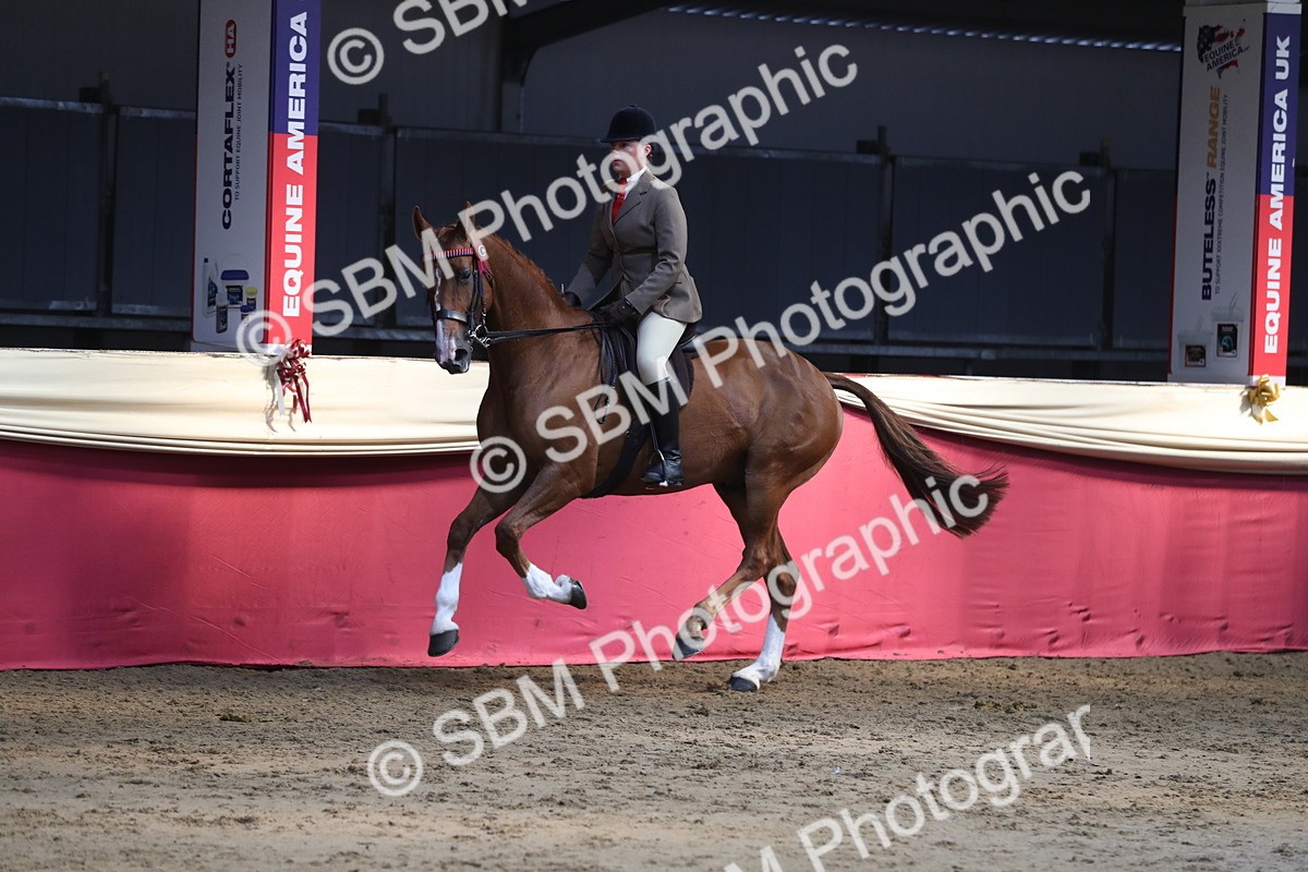 SBM_08356 - Class 11R Regional Ridden Veteran