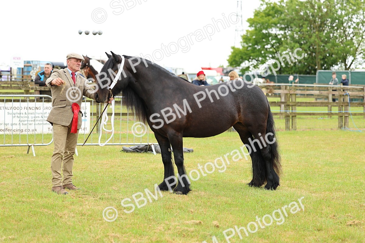 SBM_00570 - Class 58-67 - M&M Non Welsh Pony In hand