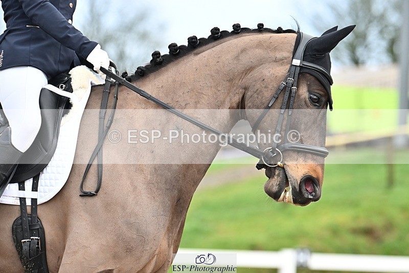 240218A-102028-05491 - 119-Shona.Mclauchlan-Diamond.Darco