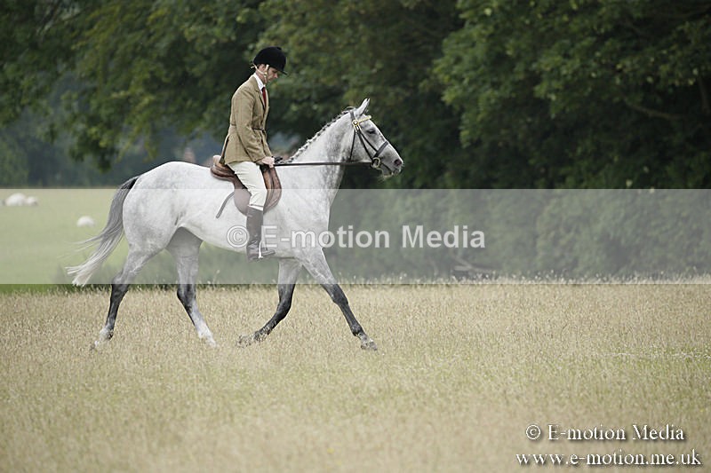 B230619-0685 - Bourne Valley Riding Club Summer Show 23/06/19