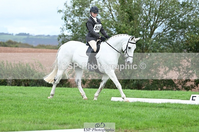 231020-155154-11292 - 509-WOODLANDS.SILVER.CLOUD-Karen.Cowling-DR