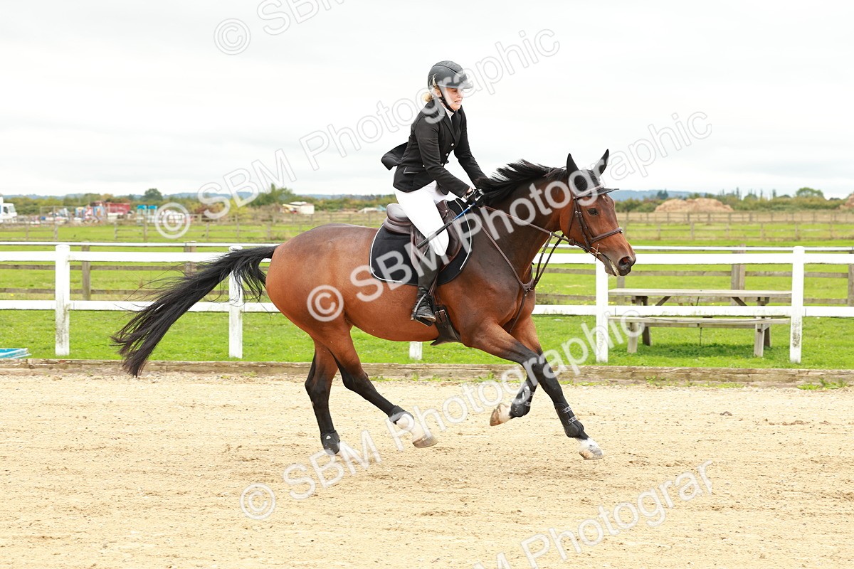 1I0A6795 - Class 2 - Senior British Novice