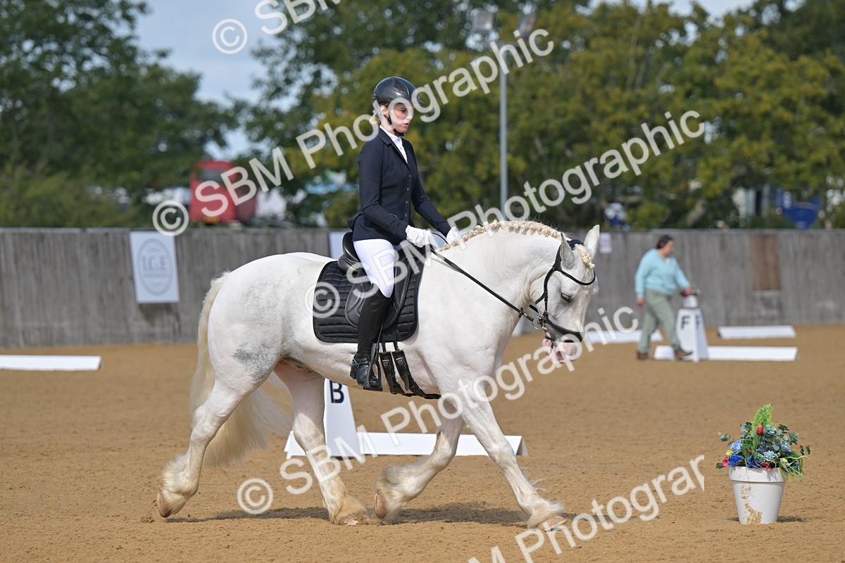 SBM_08004 - D8 - Small Tour Championship Prelim 1