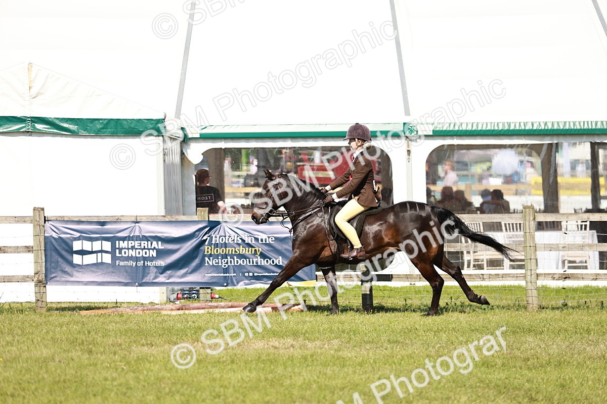 SBM_18542 - Class 112-113 - BSPS LIHS Working Sports Pony