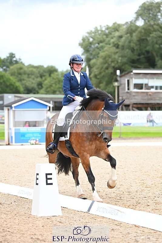 230813-142718-07762 - Cls 13 Medium Bronze 13.15 to End