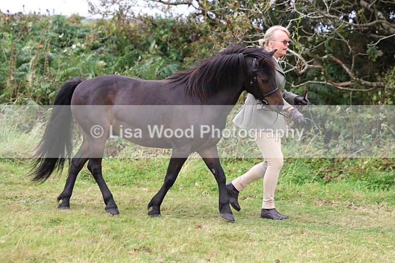 3E7A4515 - Class 16: Best Grass Kept