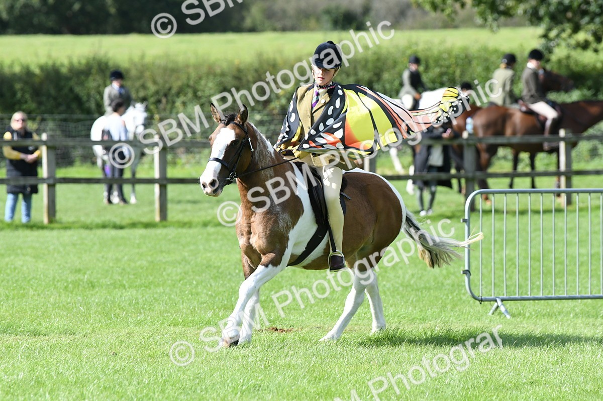 SBM_47104 - S12 - Family Horse & Pony