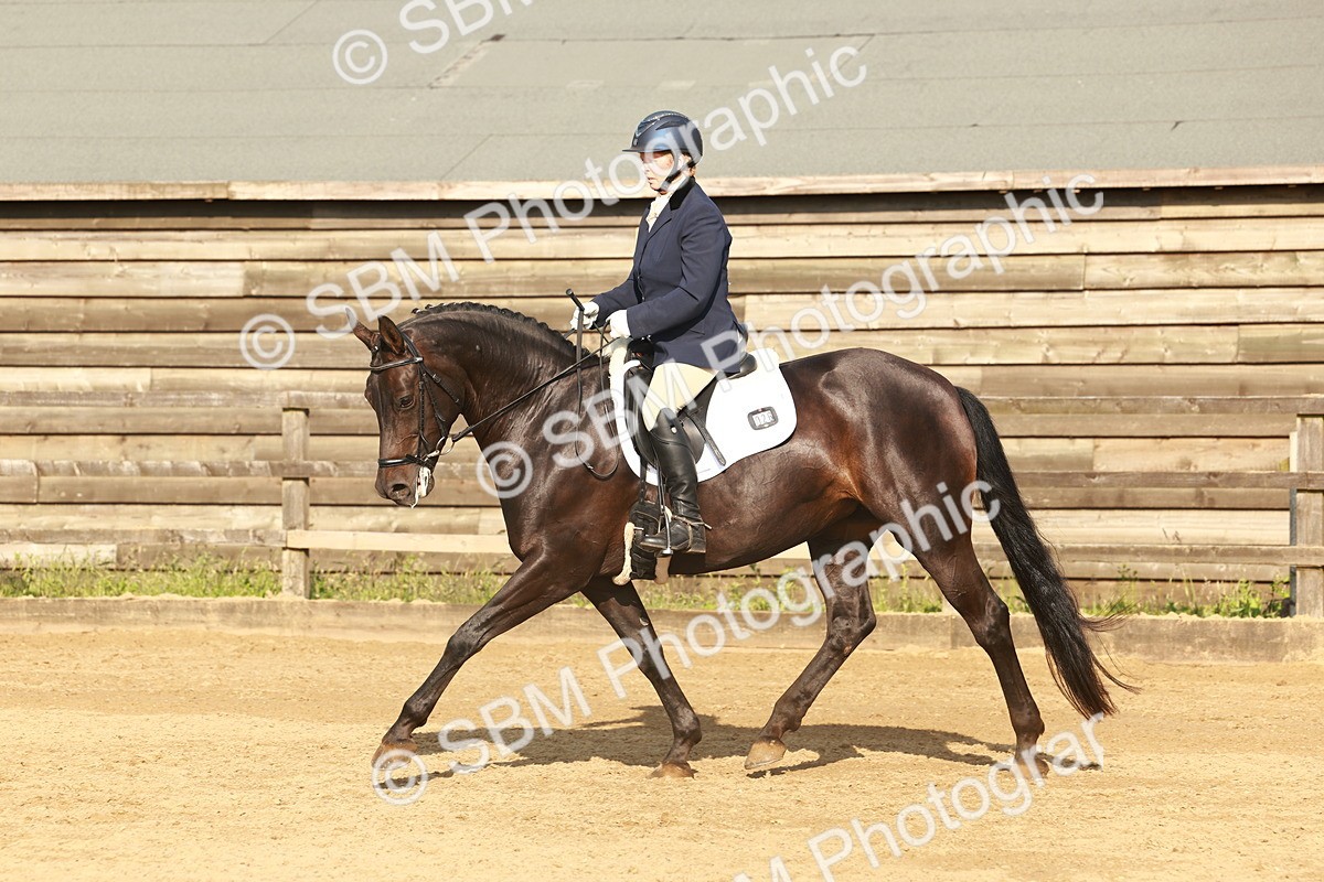 SBM_000348 - Class 5 - Novice 2