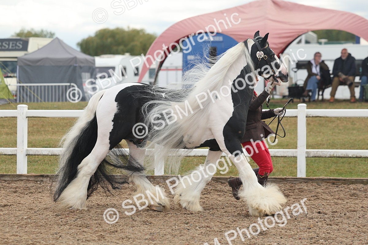 SBM_08499 - Class 29 - IH Veteran Pony
