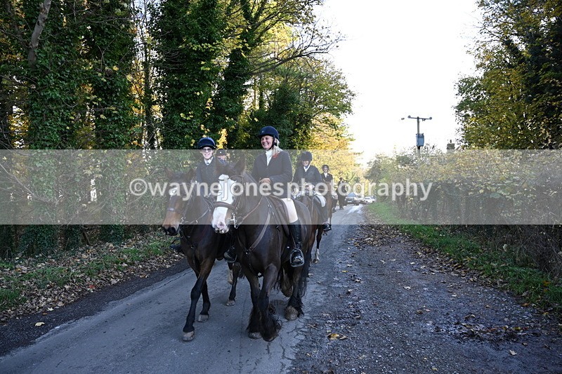 WJ6_9806 - Walk Home