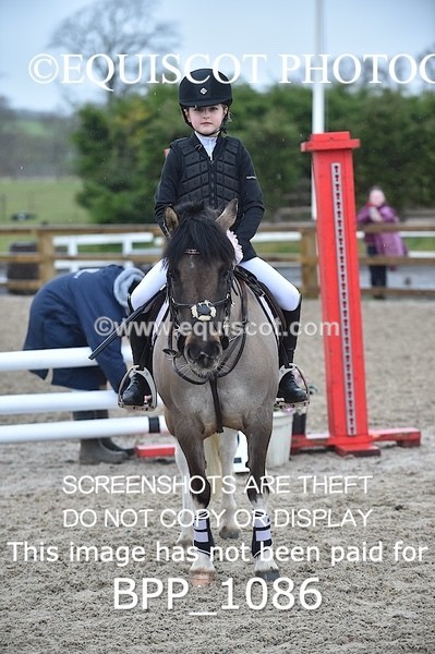 BPP_1086 - CLASS 1 Club/ Unaffiliated 60cms Open