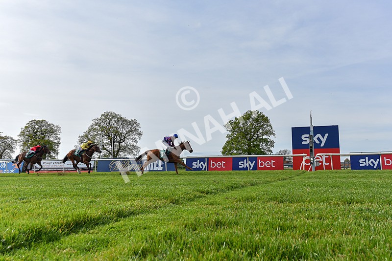 020526-Race 7-Rising Force-7338 - Race 7 5.00pm Sky Bet Irish Day Saturday 16th May Book Now Handicap