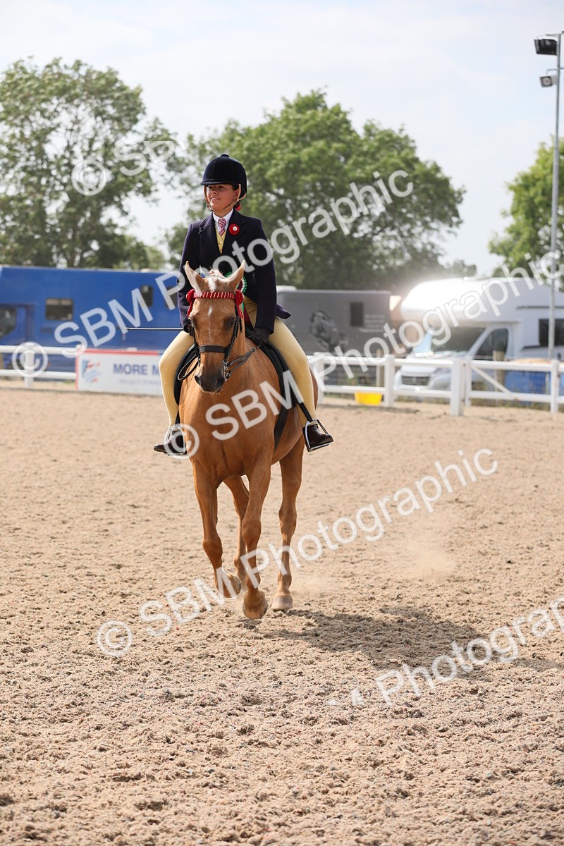 SBM_15635 - Class 311 Ridden Show Pony/ Show Hunter Pony
