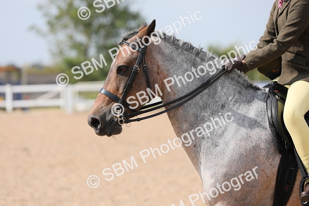 SBM_15599 - Class 311 Ridden Show Pony/ Show Hunter Pony