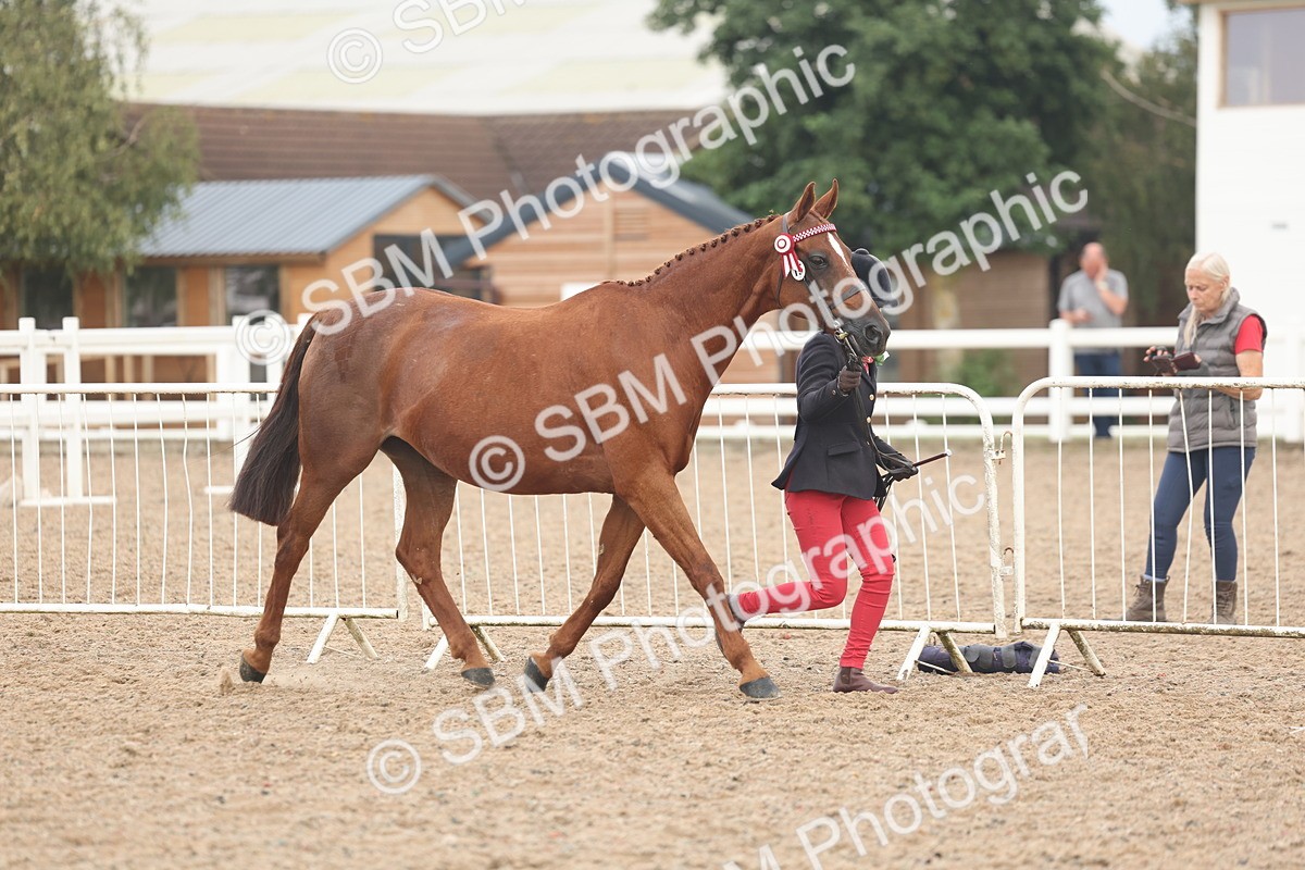 SBM_08483 - Class 29 - IH Veteran Pony