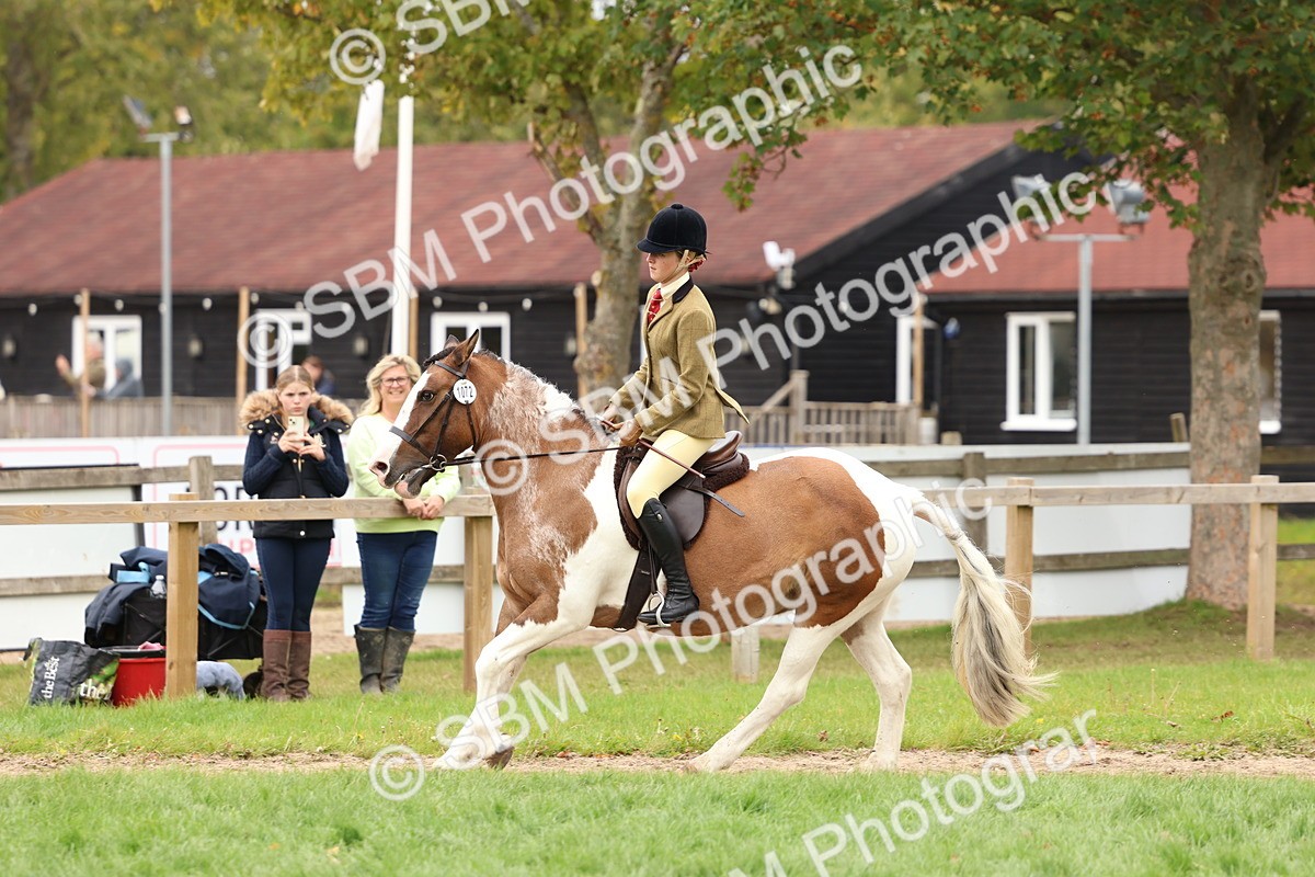 SBM_64563 - S58 - Coloured Pony Ridden