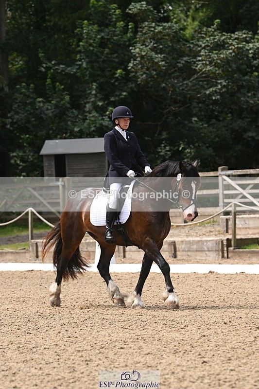 250720A-115627-10072 - 079-Amanda.Williams-Llanarth.Westminster