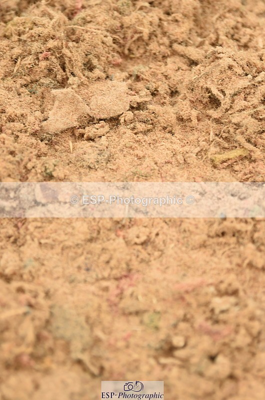 230610A-154250-04093 - Cls 25 Team Competition