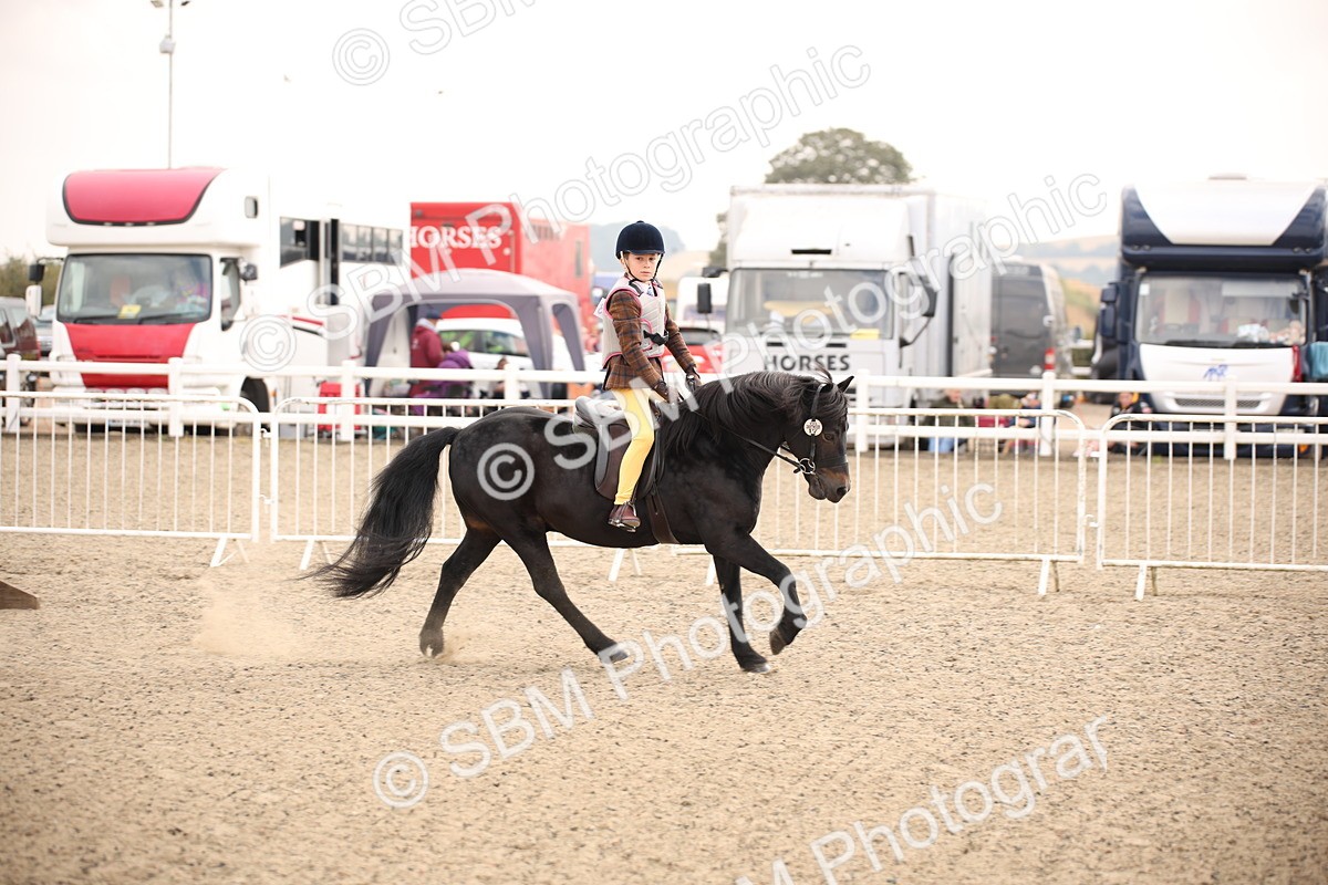 SBM_11721 - Class 404a Junior Working Veteran- 40cm (15-19)