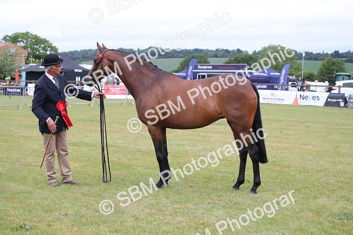 SBM_00184 - Class 17-20 - Arab & Part Bred - Anglo Arab In Hand