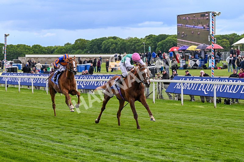 140526-Race 5-Item-5582 - Race 5 4.05pm Al Basti Equiworld Dubai Dante Stakes