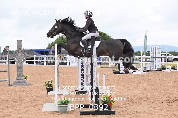 BPP_0392 - CLASS 27 SUN 6 Year Old Non Qualifier
