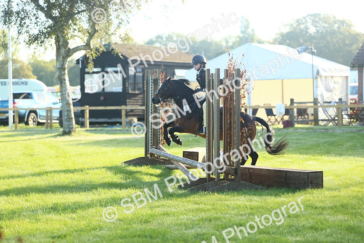 SBM_31877 - S28 - Nursery Stakes Working Hunter Pony