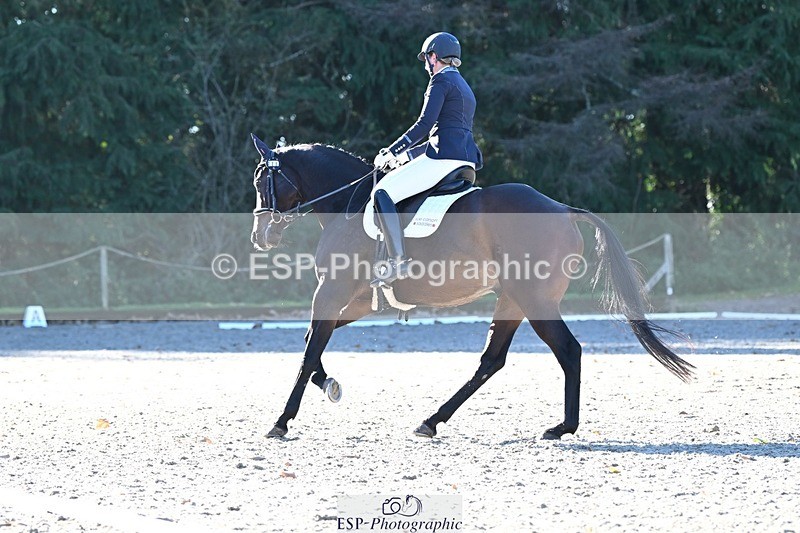 231110-105954-00278 - Cls 2 Prelim 17(a)Q