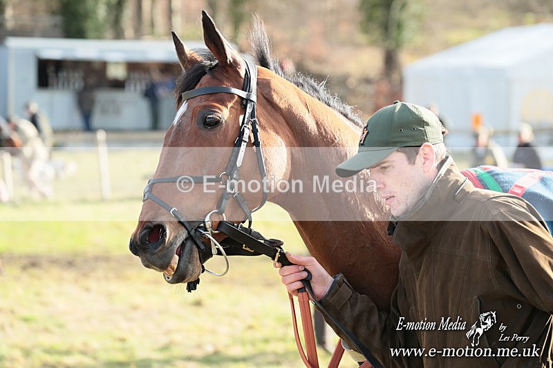 PtP 220225 917 - Kimblewick Point-to-Point  Kingston Blount 22/02/25